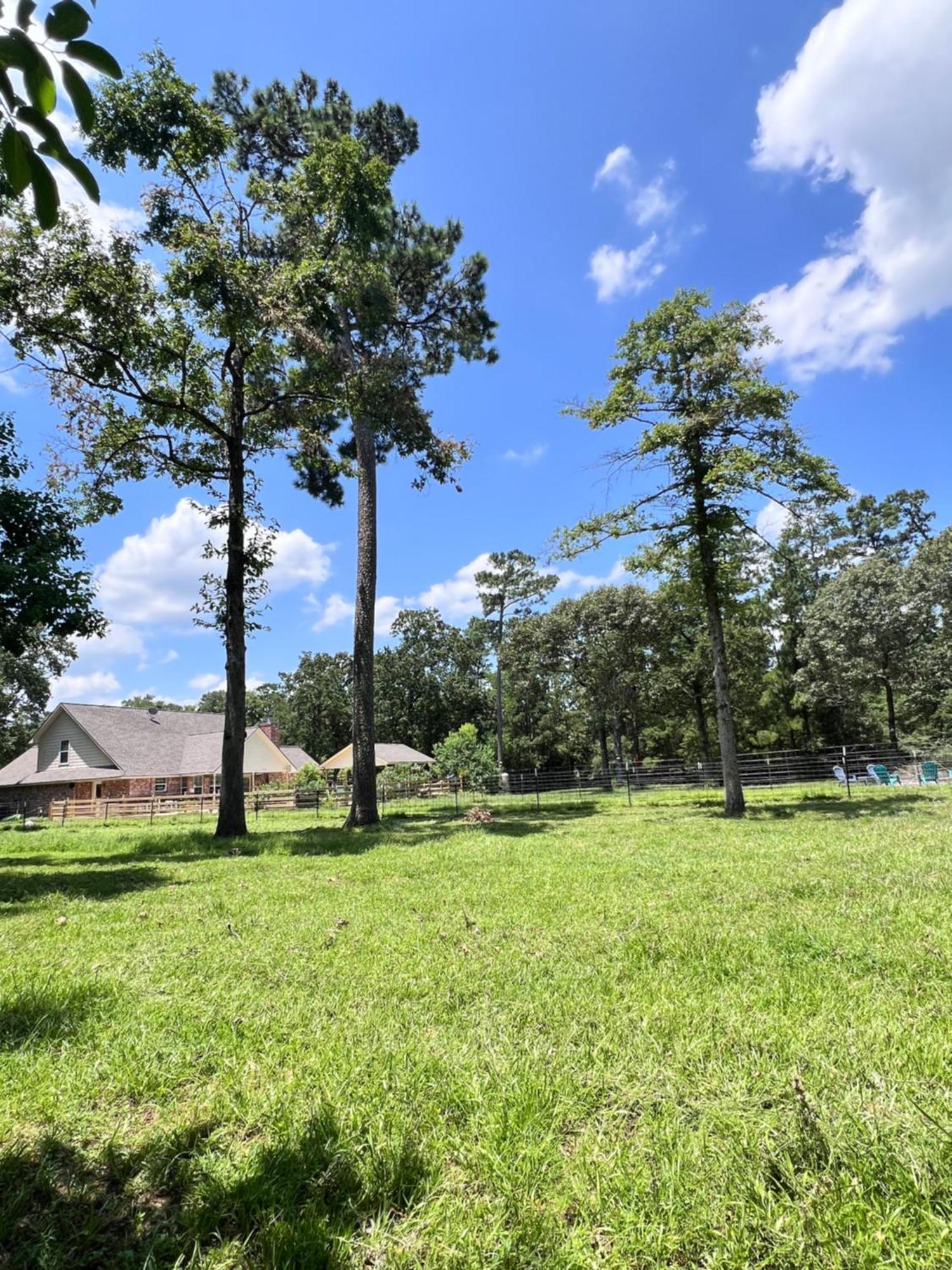 Country Getaway 4 Bedroom Resort In 10 Acre Lot Magnolia Exterior foto